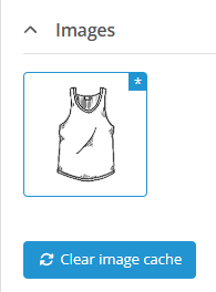 Images section of the Content widget